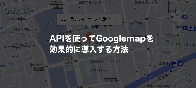 GoogleMAP API